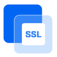 SSL 证书图标